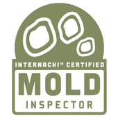 mold-web Home Inspections In Bradenton | 4-Point Inspections FL